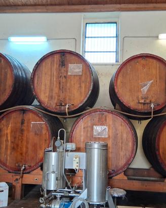 Botti da 2000 lt /1000 lt