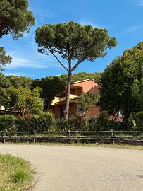 Villetta bifamiliare ristrutturata a Castilgione