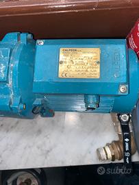 Motore elettrico acqua Calpeda