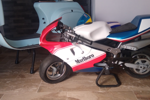 Minimoto