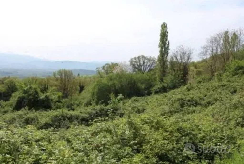 Immobile in asta di 6330 m² a Greccio - Vista 2