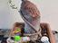 Immagine 6