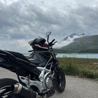 Suzuki sfv 650 gladius