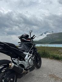 Suzuki sfv 650 gladius