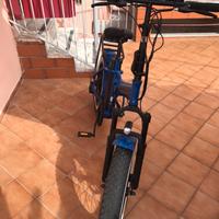 Bici elettrica