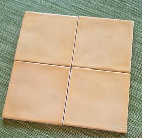 piastrelle 10  x 10