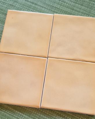 piastrelle 10  x 10