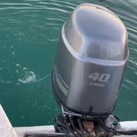 Yamaha 40 60 fuoribordo