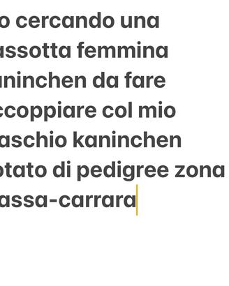 Bassotto femmina kaninche per accoppiamento