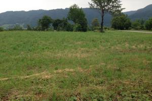 Terreno in zona incantevole