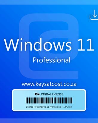 Windows 11 pro