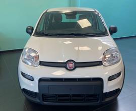 Fiat Panda 2024 PANDINA KM 0 NUOVA FULL