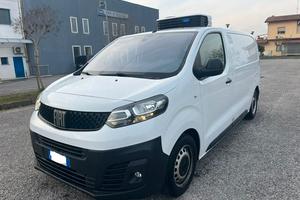 Fiat scudo FRIGO FRAX ISOTERMICO SPINA 220V