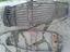 Immagine 3