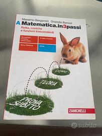 Matematica.in3passi A, Zanichelli