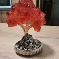 bomboniera bonsai