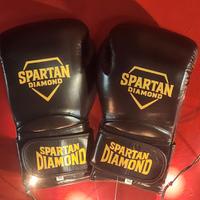 Guantoni da Boxe _Thai boxe