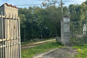 La Tiribba - Uliveto con casetta appoggio