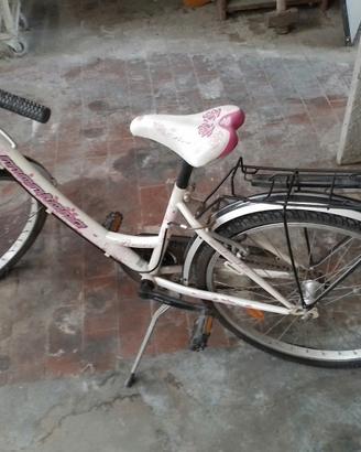 Bicicletta Bianca  Città con Cestino 