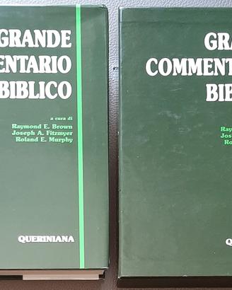 Volume Grande Commentario Biblico