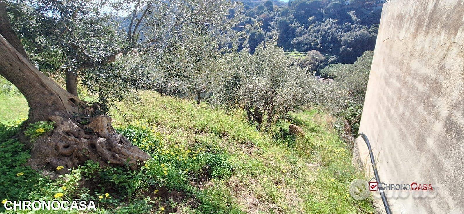 Rodia, terreno agricolo di circa 1000 mq - Vista 2