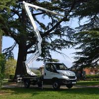 Potatura albero con piattaform area Peschiera zone