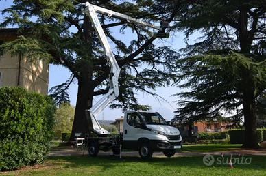 Potatura albero con piattaform area Peschiera zone