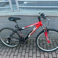 Bicicletta mountain bike