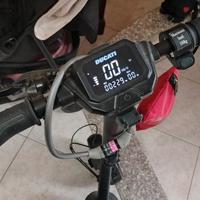 monopattino elettrico ducati pro II plus 