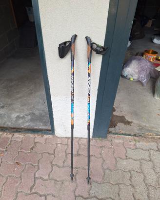bastoncini nordic walking