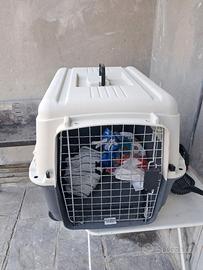 gabia x trasporto cani
