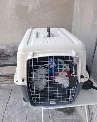 gabia x trasporto cani