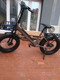 bici elettrica 