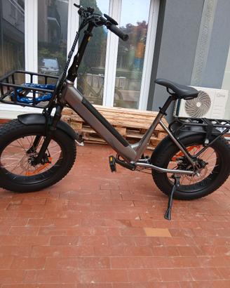 bici elettrica 