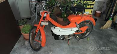 Motom 1964