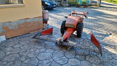 falciatrice Svizzera 