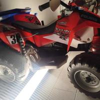 Quad Polaris Peg Perego