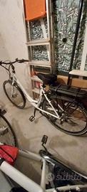 bici schiano