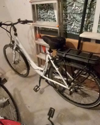 bici schiano