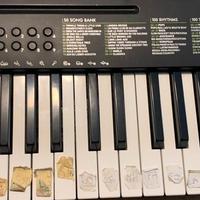 TASTIERA PORTATILE  49 Tasti casio CTK-240