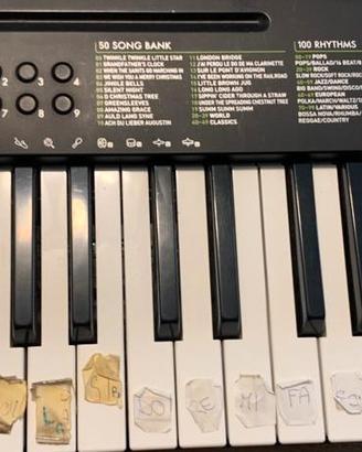 TASTIERA PORTATILE  49 Tasti casio CTK-240