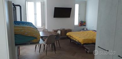 Monolocale appena ristrutturato