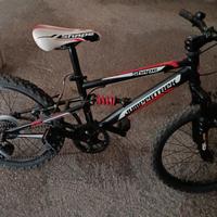 Mtb bimbo 20