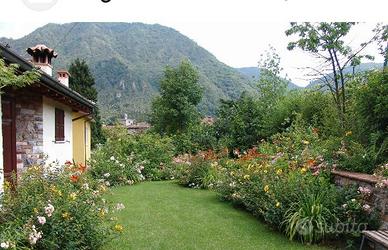Eseguo lavori di giardinaggio e muratura