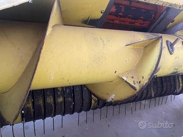 Trincia bodini rt2015