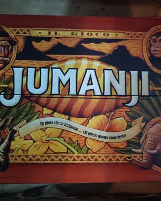 gioco di società junamji