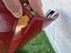 Immagine 19