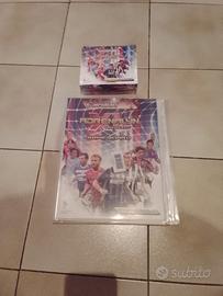 album + box card figurine panini 2010