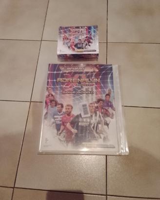 album + box card figurine panini 2010