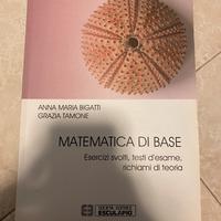Matematica di base Anna Maria Bigatti e Grazia T